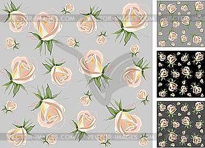 Backgrounds of roses - vector image