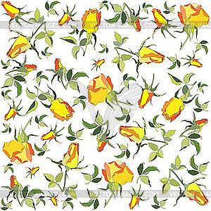 Background of yellow roses - vector image