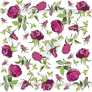 Background of roses - vector clipart