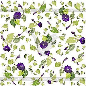 Background of violet flowers - royalty-free vector image