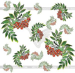 Background with autumnal berries - vector EPS clipart