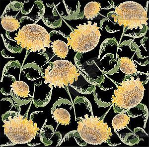 Background with chrysanthemums - vector image