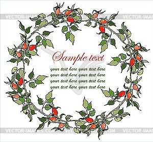 Decorative round frame with hips - vector clipart