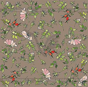 Background with wild rose and hips - vector clipart