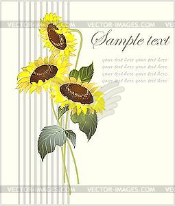 Greeting card with sunflowers - vector image