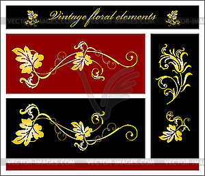 Floral elements - vector image