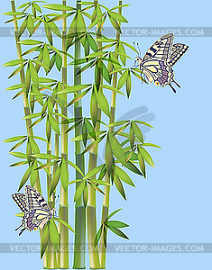 Бабочки и бамбук - векторное изображение клипарта