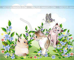 Happy little kittens and butterfly play on the meadow - stock vector clipart