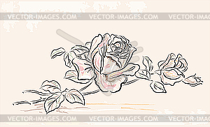 Vintage greeting card with rose - vector image