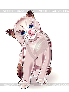 Portrait of blue-eyed little kitten - vector clip art
