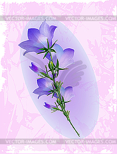 Цветок Колокольчик - векторный графический клипарт