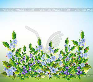 Summer meadow flowers - color vector clipart