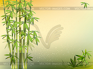 Bamboo design - vector image