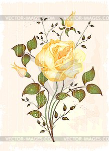 Vintage rose - vector clip art