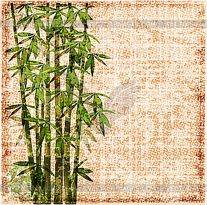 Shabby bamboo - vector image