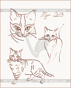 Sketches of cat - vector clipart