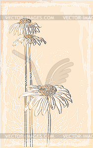 Gerbera vintage style bouquet  - vector image