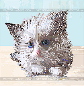 Fluffy kitten with blue eyes - vector clipart