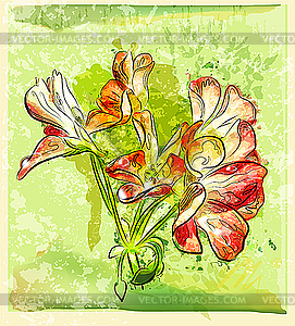 Red geranium flower - vector clipart