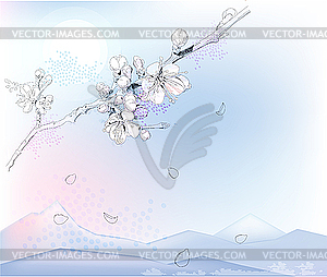 Cherry blossoms in full bloom - vector clipart / vector image