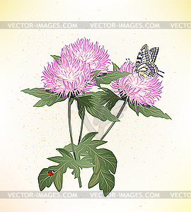 Pink asters and butterfly - vector clipart / vector image