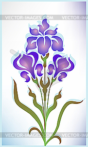 Iris - vector clipart