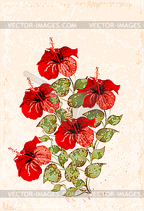 Red hibiscus - vector clipart