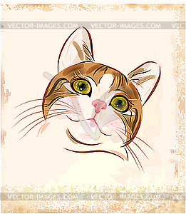Portrait of ginger tabby cat - vector clipart