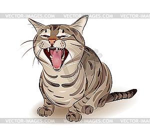 Tabby cat - vector image