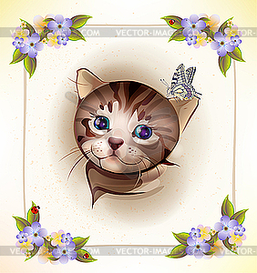 Card with little tabby kitten and butterfly - vector clip art