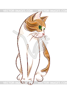 Hand drawn portrait of ginger tabby cat - color vector clipart