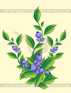 Berries - vector clipart