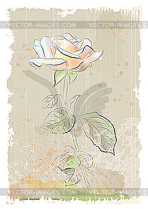 Vintage of pink rose - vector image