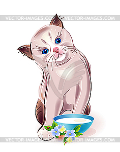 Kitten with bowl - vector clipart