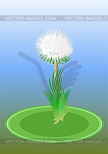 Dandelion  - stock vector clipart