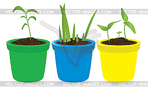 Potted seedling - vector clipart