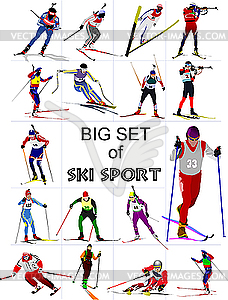 Set of Ski sportsmen - vector image