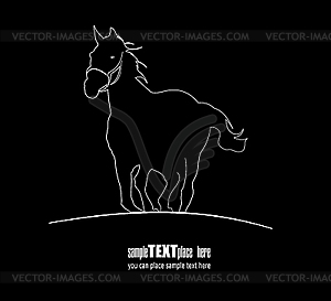 White horse silhouette - vector image