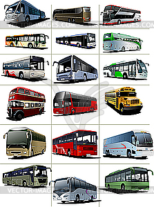 Buses - vector image