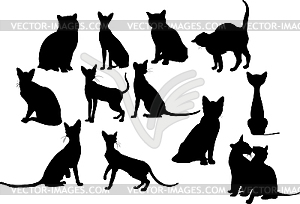 Twelve cats silhouettes. - vector EPS clipart