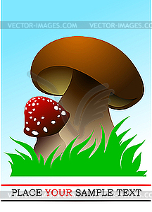 Two mushrooms - vector image