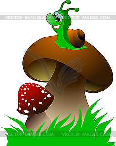 Funny green snail and two mushrooms - vector image