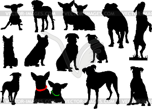 Set of dog silhouettes - vector clip art