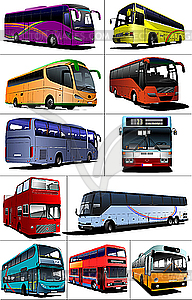 Одиннадцать городских автобусов - изображение в векторном виде