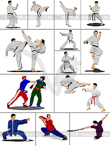 Oriental combat sports - vector clipart