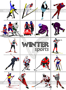 Set of Winter sports - vector image