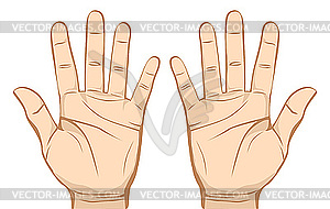 Hands - vector image