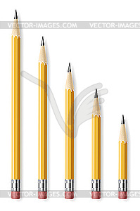 Pencils - vector image