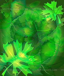Foliage background - vector clip art