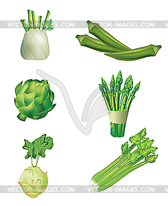 Set of green vegetables - vector image